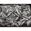 Mackerel Frozen Horsel Fish inteiro Preço competitivo